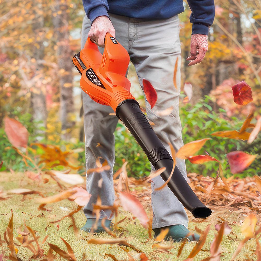 21V Cordless Leaf Blower with 2 Batteries & Charger, 2-Speed Modes