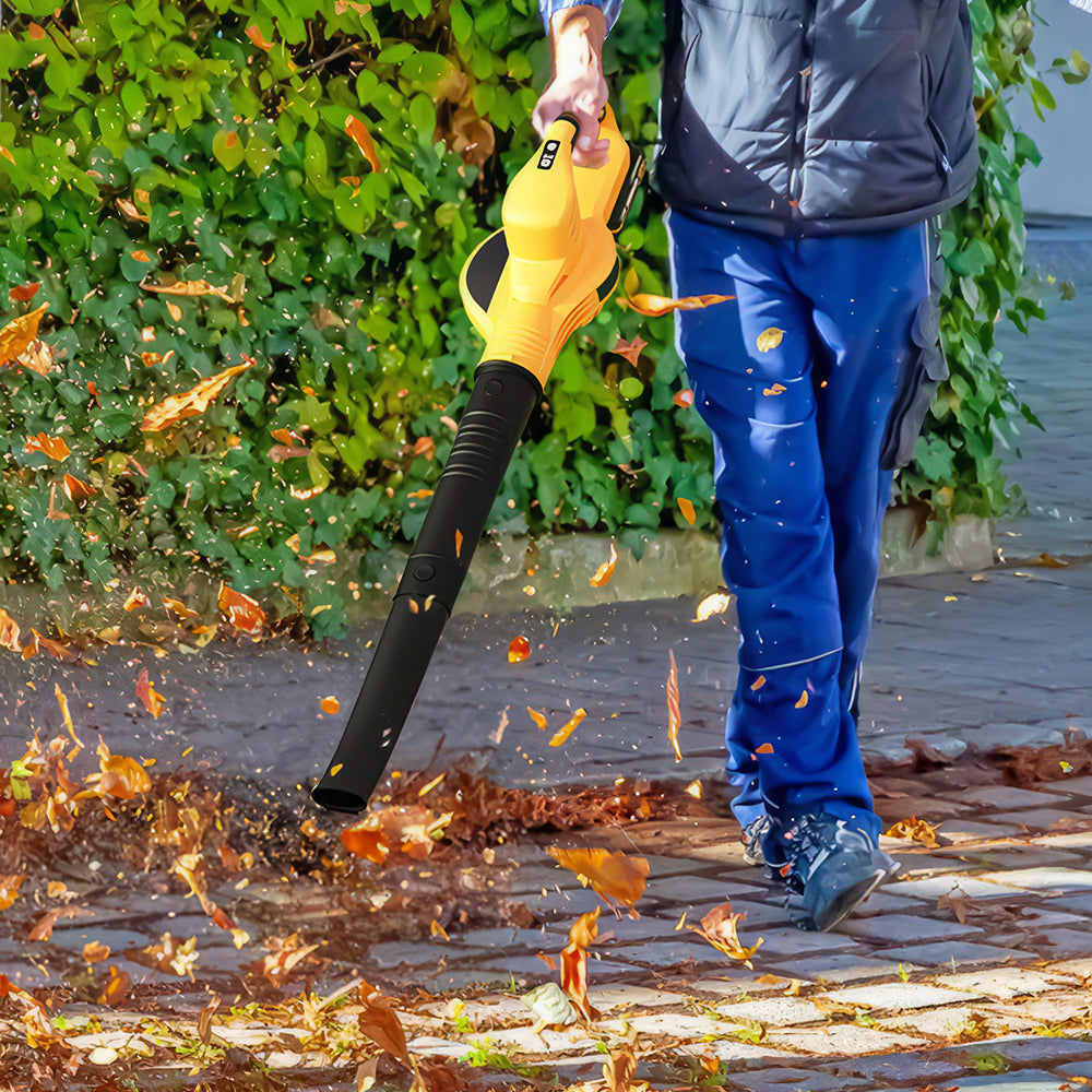 21V Cordless Leaf Blower with 2 Batteries & Charger, 2-Speed Modes